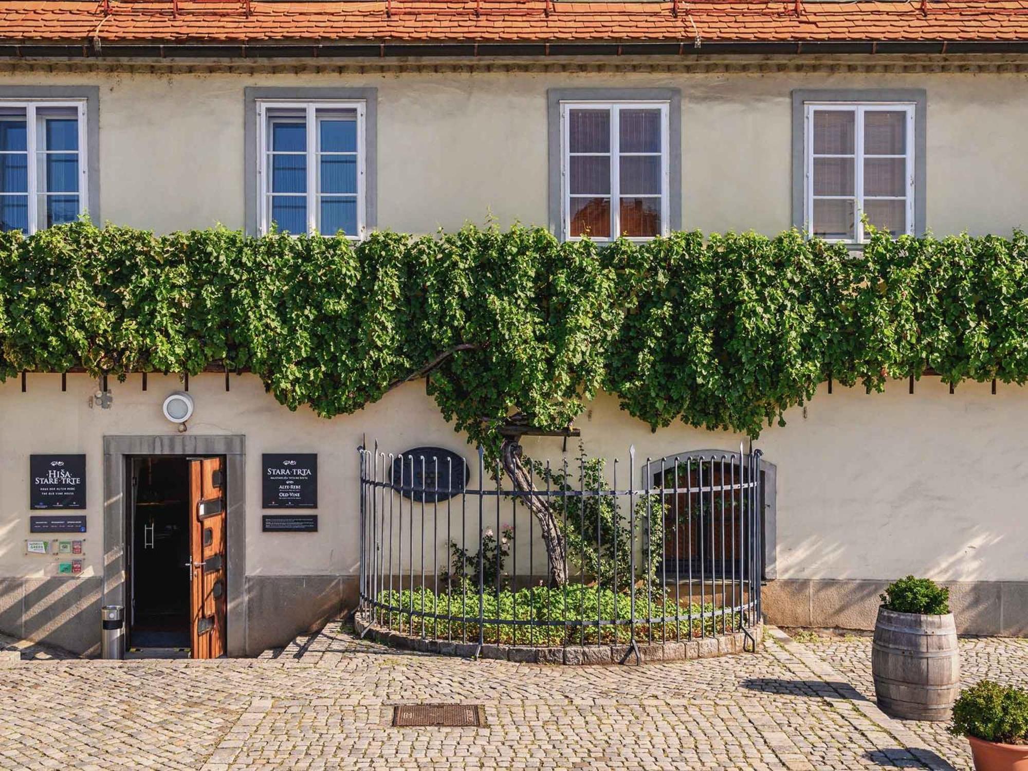 Kavenija Apartmaji - Free Parking Maribor Exteriér fotografie
