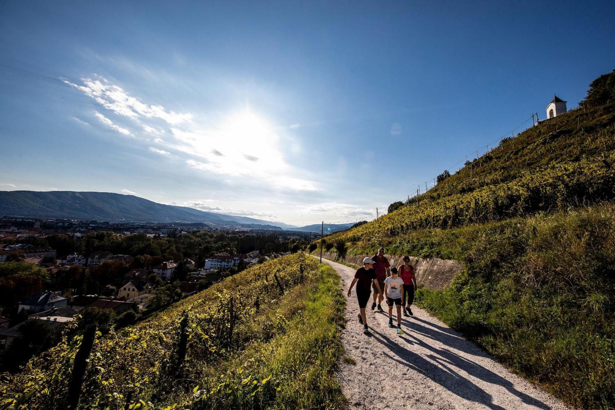 Kavenija Apartmaji - Free Parking Maribor Exteriér fotografie